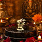 Shankara Divine Damru Idol