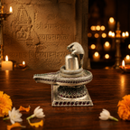 Rudra Nandi Shivling Divine Ensemble
